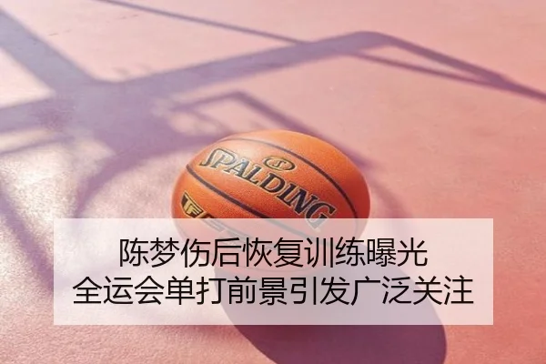 陈梦伤后恢复训练曝光 全运会单打前景引发广泛关注